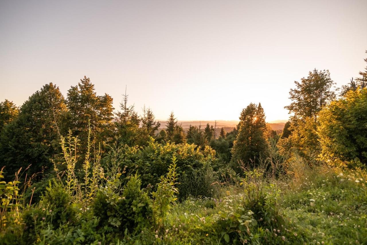 Holiday Home Razglednik Logatec Zewnętrze zdjęcie